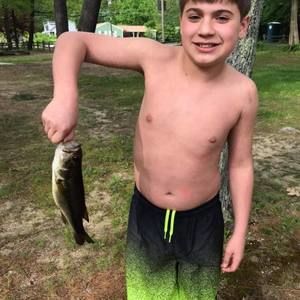 Meet your Posher, Xavier